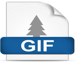 fomats gif